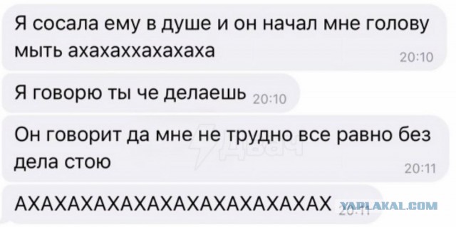Веселые картинки в пятницу (03.07)