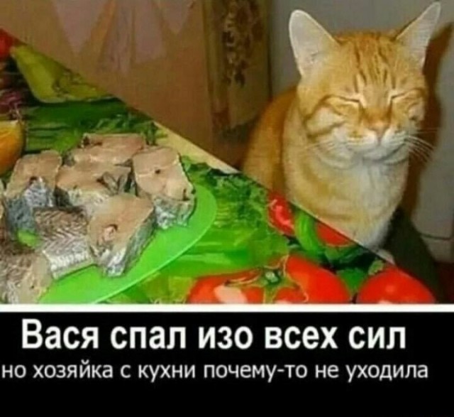 Немного картинок во вторник
