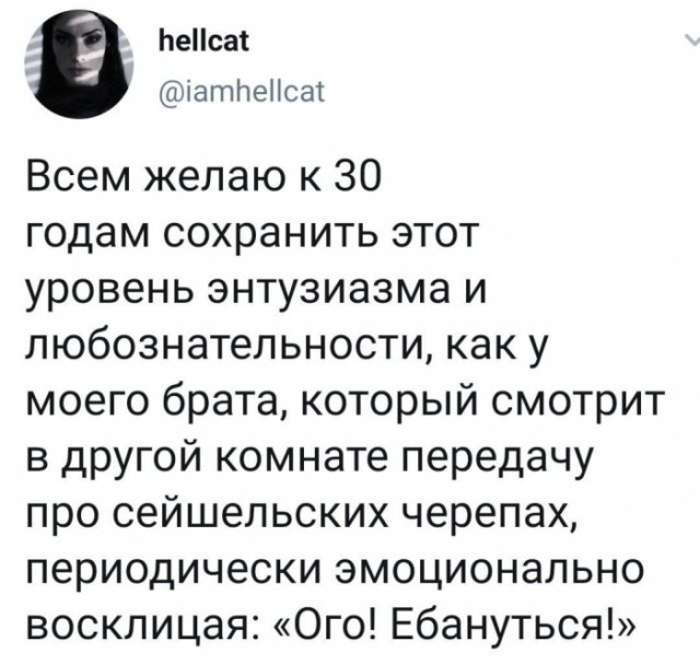 Веселые картинки в пятницу (14.08)