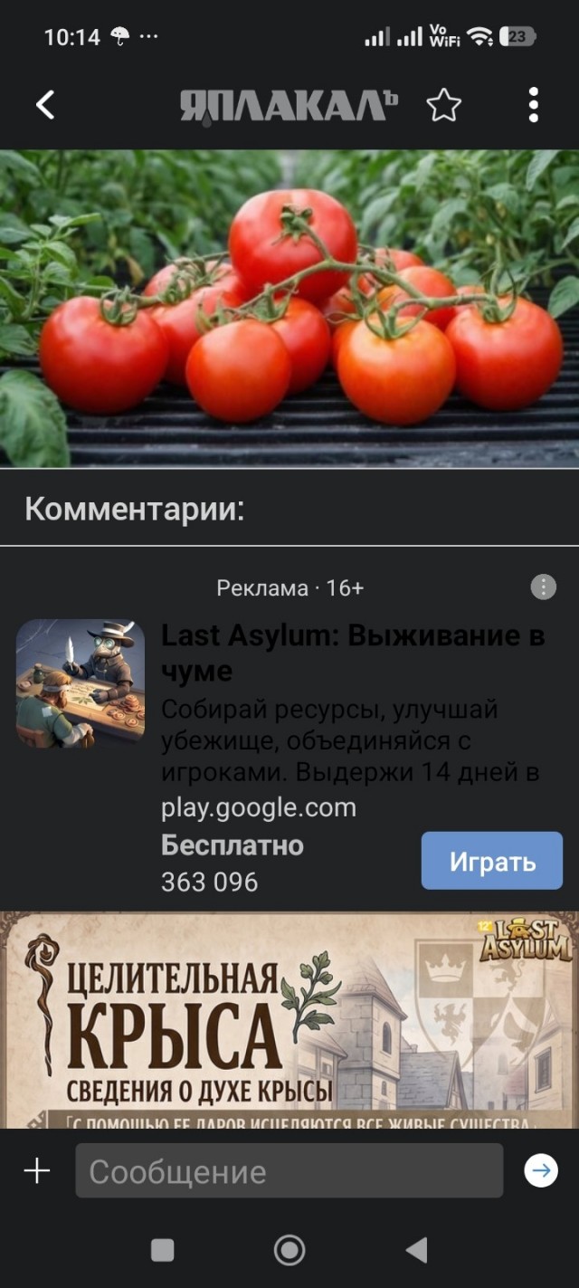 В России хотят запретить дешёвые овощи
