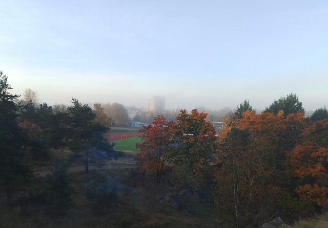 Все краски осени