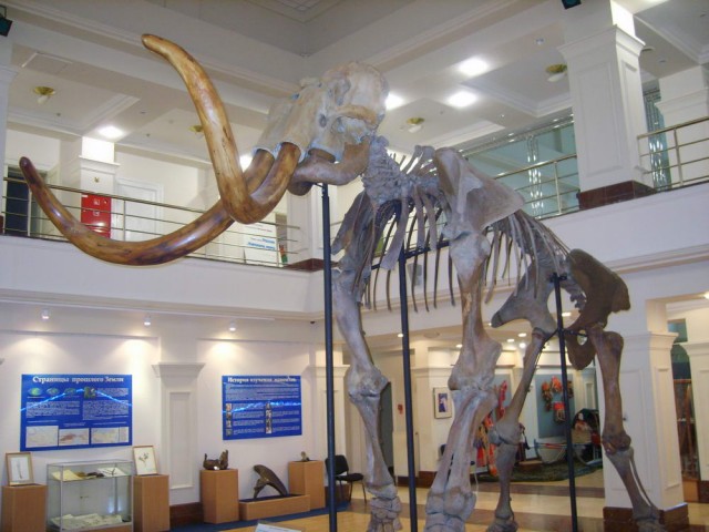 Цивилизованный Ямал