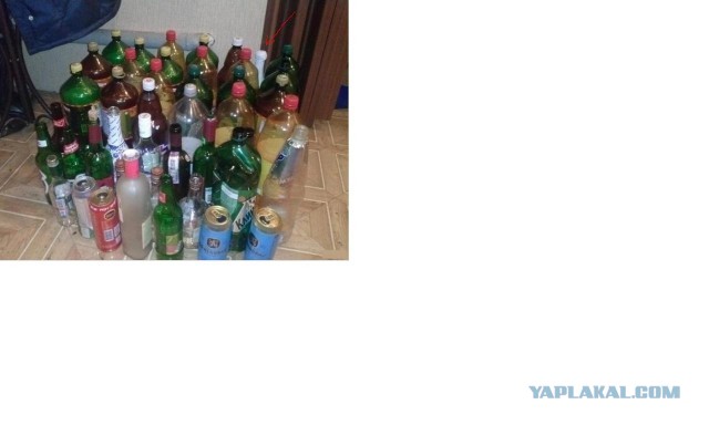 Сдал частный дом двум девушкам