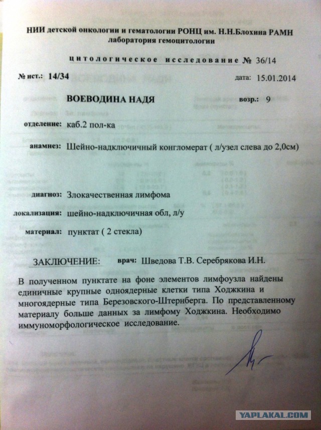Братья, сестры и все русские люди!