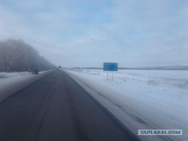 Где яблоки растут!