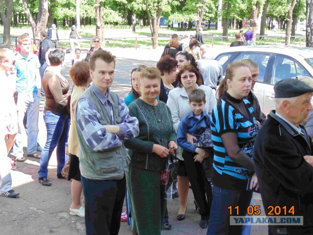 Подборка фото с референдума