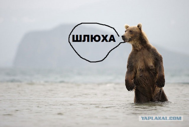 Он существует!