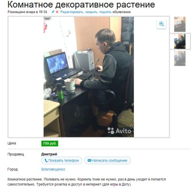 Моя подборка веселенькой мути