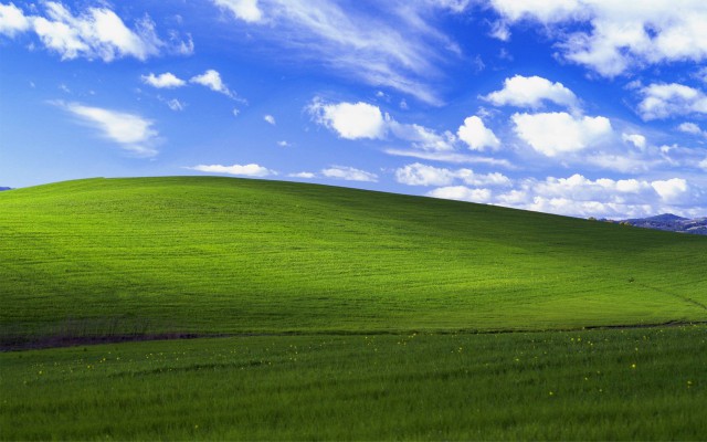 День памяти Windows XP