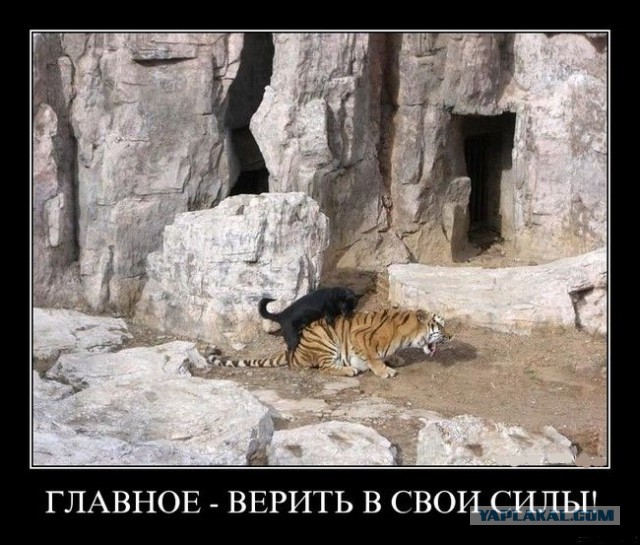 Зверское изнасилование