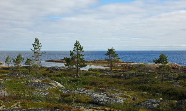 Деревенская Америка