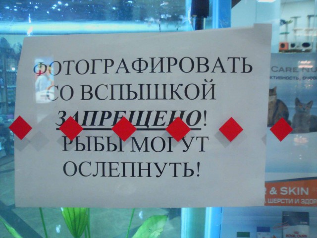 Маразмы и просто занятные фото