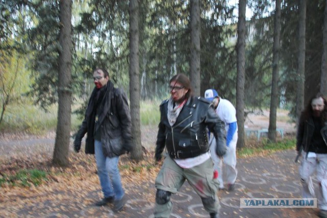 S.T.A.L.K.E.R.-2015, Камчатка