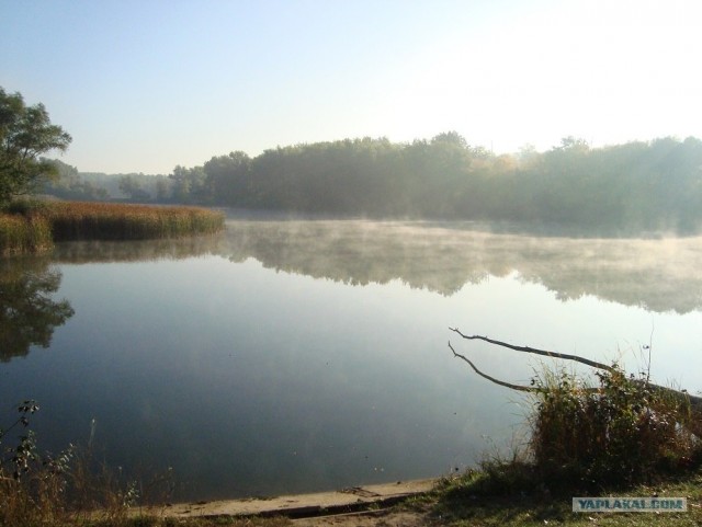 Небольшая дверь в Лето!