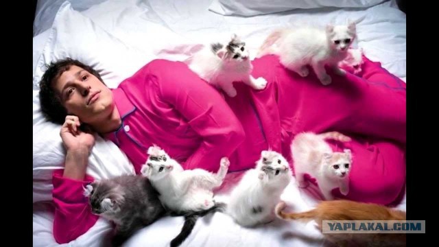 Этот огромный хаски старался быть невозмутимым