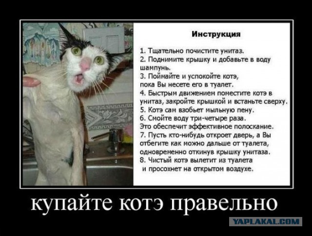 Веселые картинки