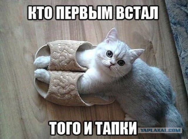 Свежая, утренняя, подборка картинок.