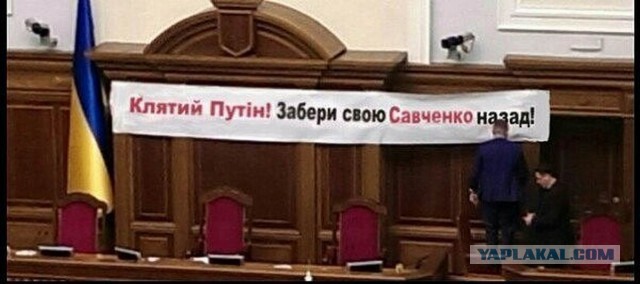 И тут Надию понесло. Сава сорвалась