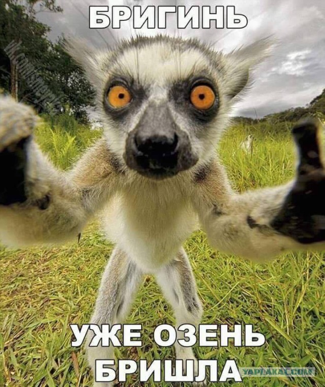Сенатор предложила наказывать родителей, не работающих без уважительных причин
