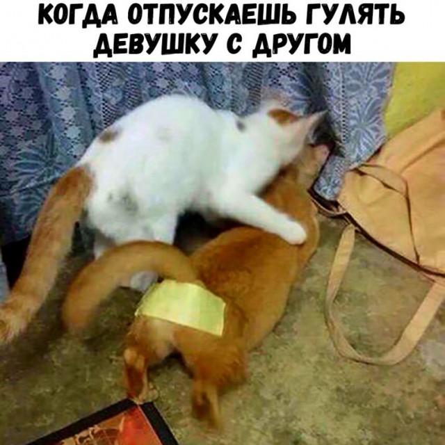 Приколы в стиле "Когда..."