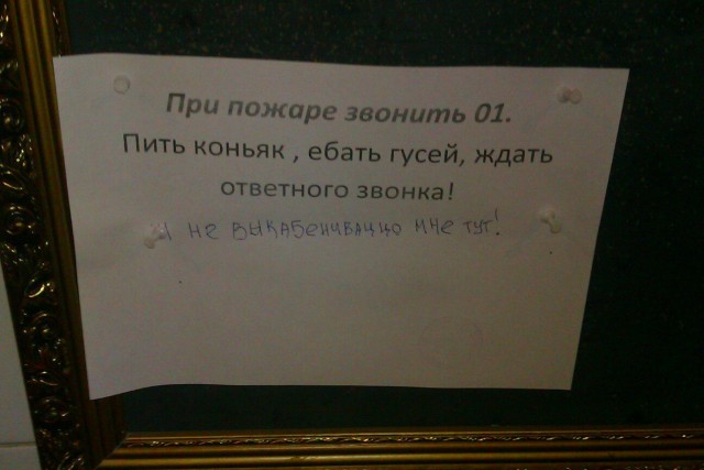 Скотсети и прочие интернеты 23.04.18