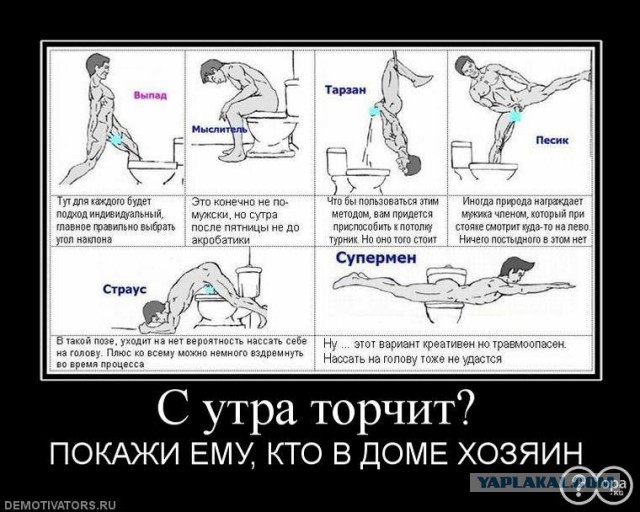 Счастье быть холостяком