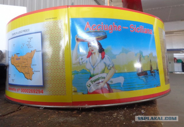 О сфинчоне в высших сферах