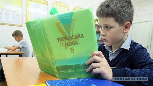 Учебный год в ДНР пройдет без украинского языка