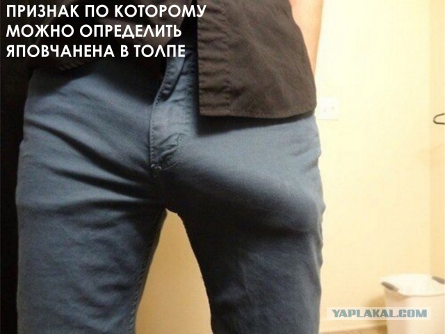 Жириновский заявил, что ЯПовцы дурачки