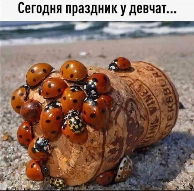 Алкопост 8.10.21