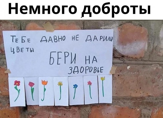 Так себе картинки 08.03.22