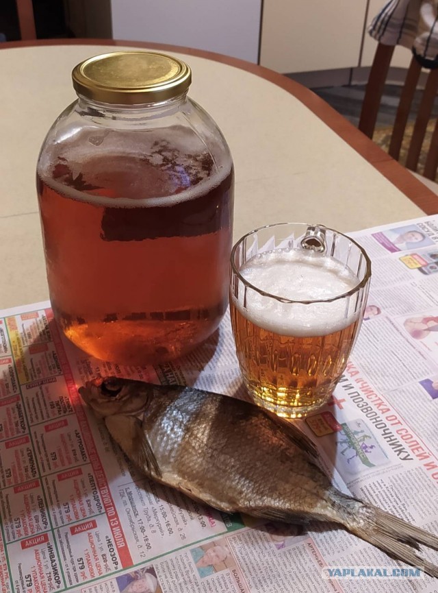 А я пью пиво