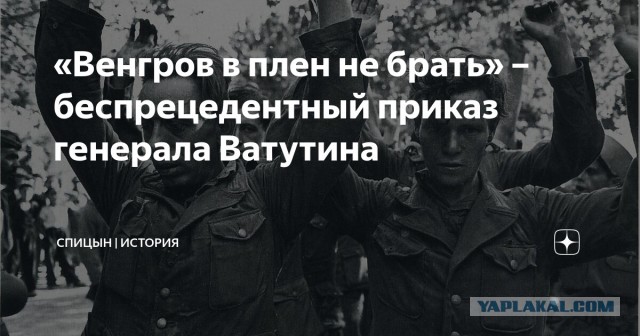 Невыученные уроки истории. ВоВ страны оси. Мадьяры