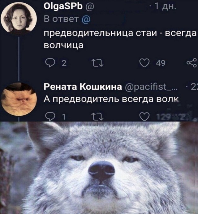 Весёлый полтишок 19.05.22