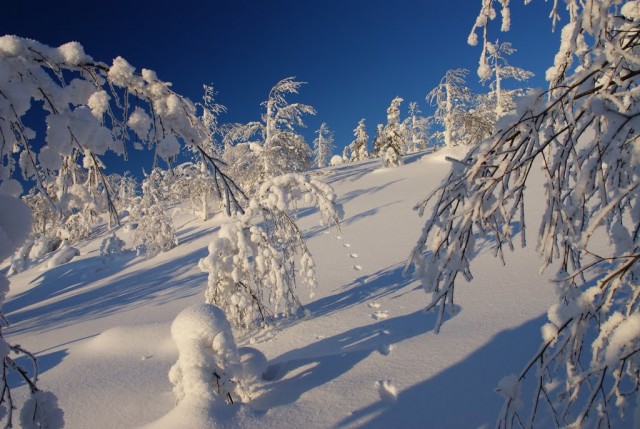 Кольский полуостров