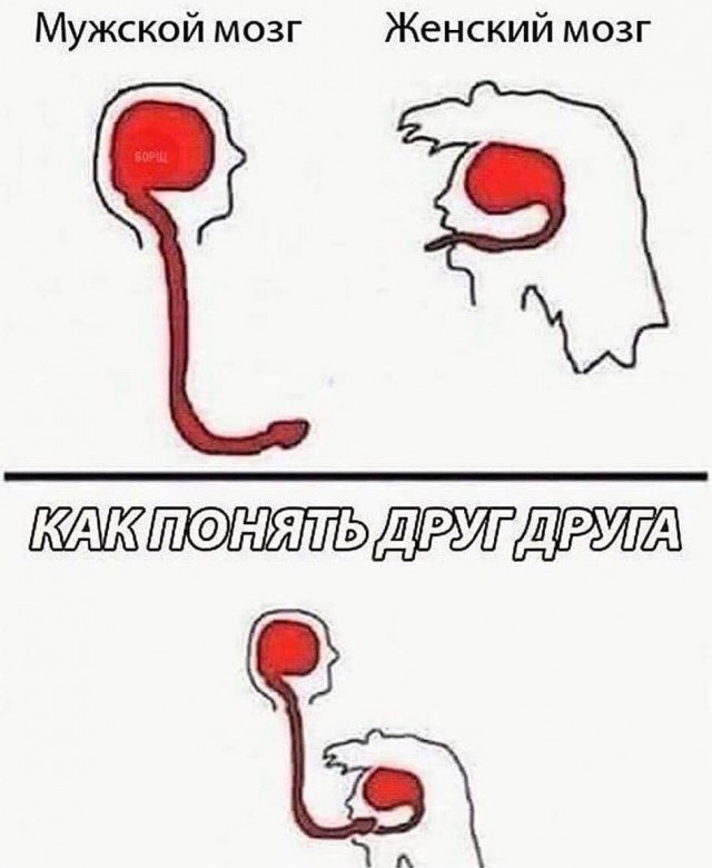 Немного мемчиков. Для взрослых 18+. Часть 4