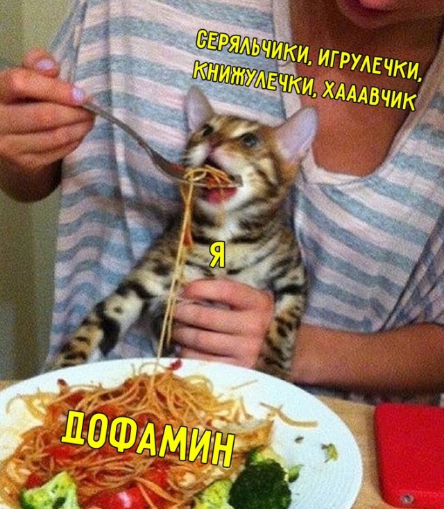 Картинки и мемы для настроения - 31