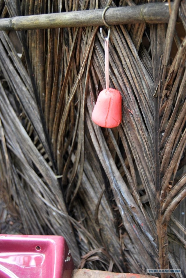 ГоА свои впечатления