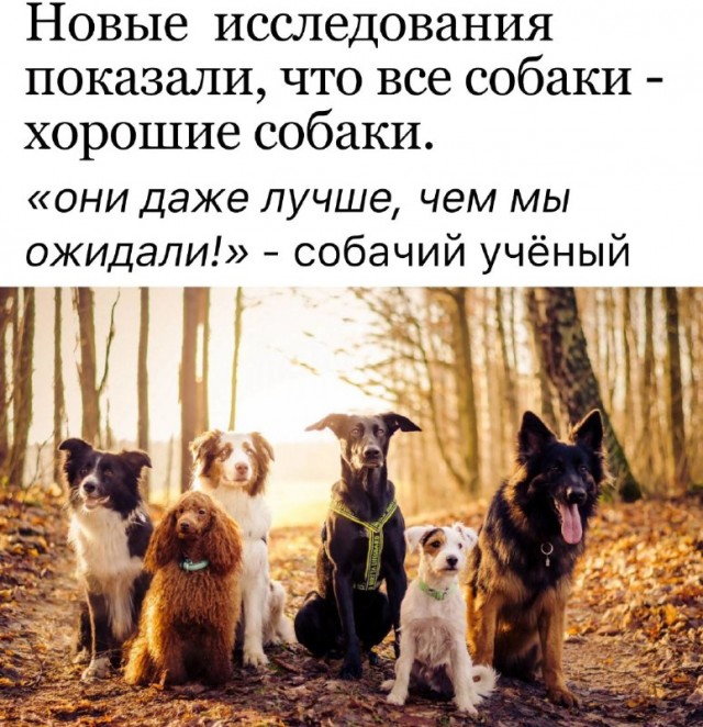 Картинки и мемы, всем хороших выходных