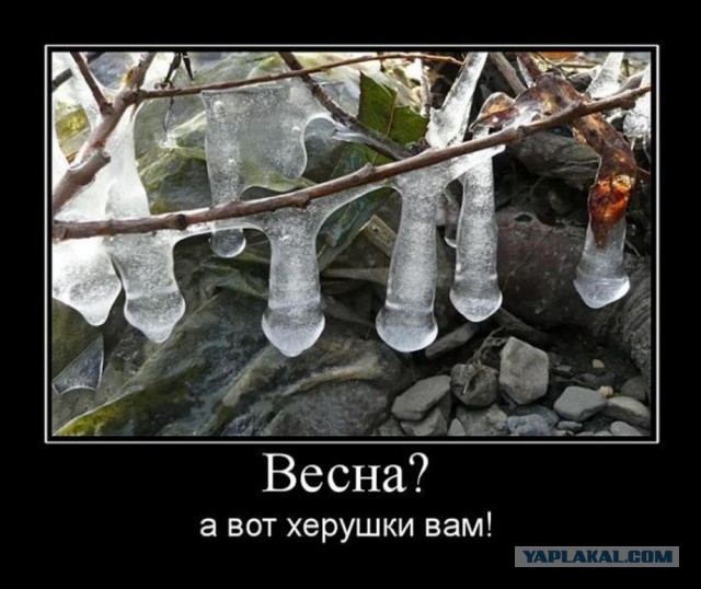 Ничего не знаю!