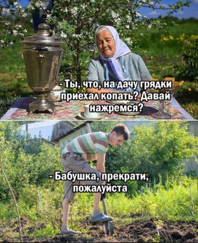 Скупка краденого из сети 09-08-2023
