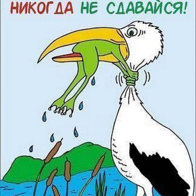 Шанс есть всегда