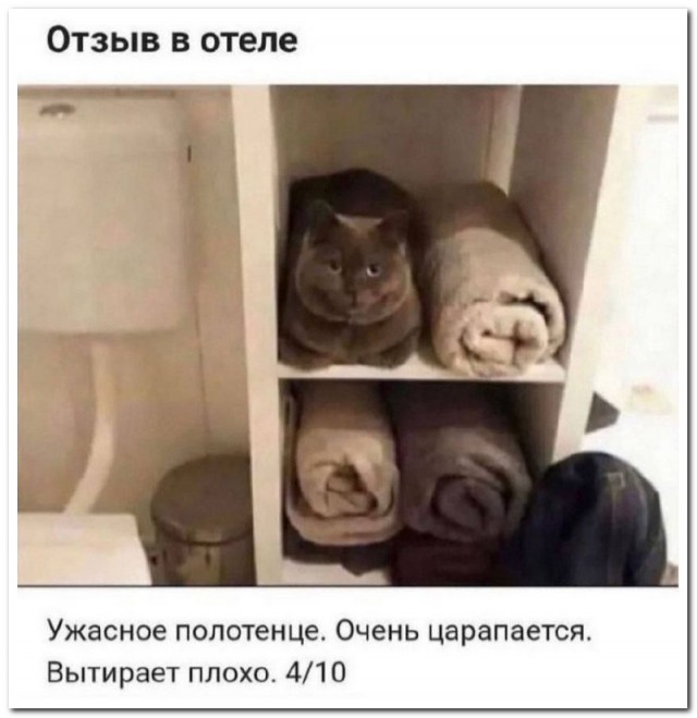 Забавные комментарии из социальных сетей (30.10.23)