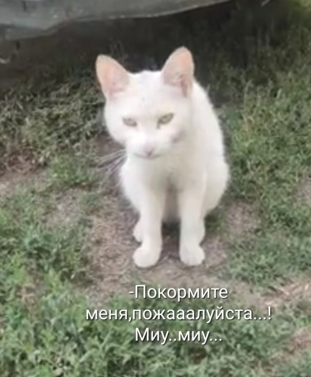 Было - Стало