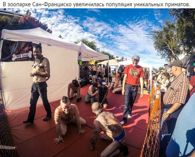 Мстители и другие герои