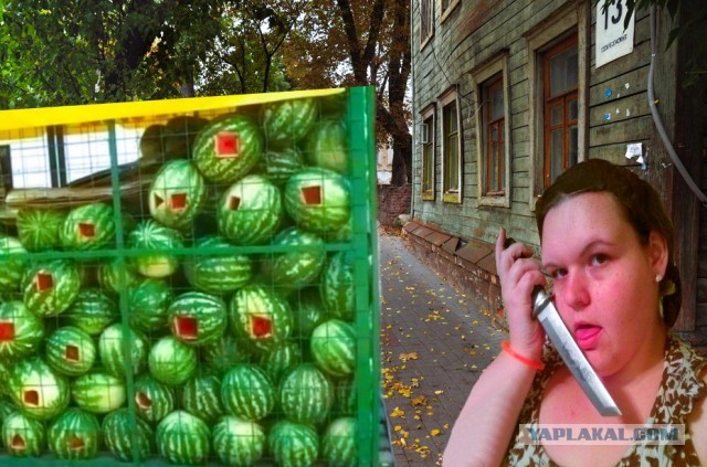 Так себе картинки 13.07.24