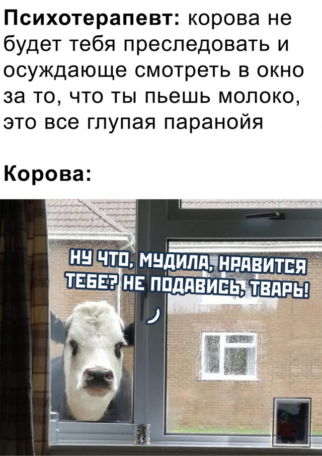 Быстрая деградация