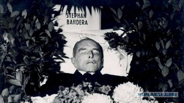 Знаешь,что за день сегодня?