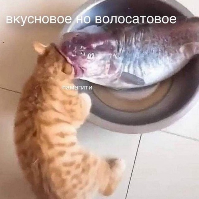Быстрая деградация
