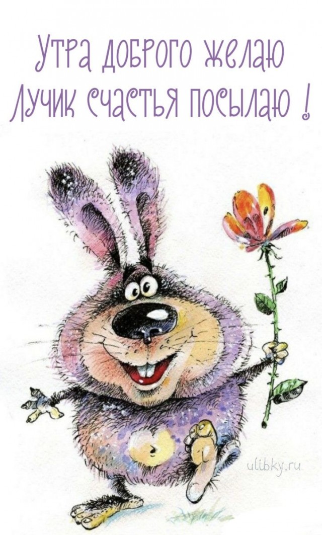 Прикольные и просто красивые картинки 11.04.2025